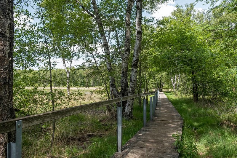 Fürstenkuhle nature conservation and FFH area, Gescher