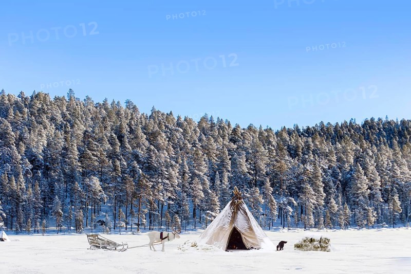 Tent with reindeer and dog in snowy Ivalo, Finland, Europe