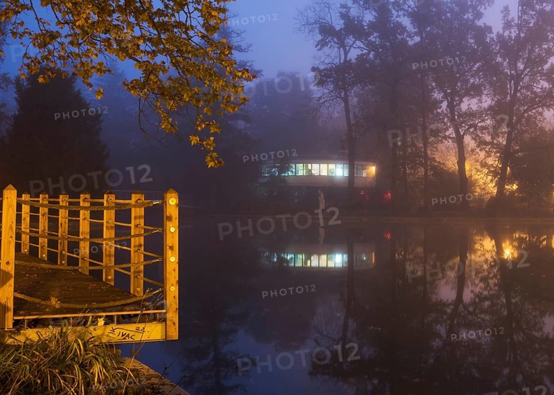 Foggy scene in a Maksimir park in Zagreb