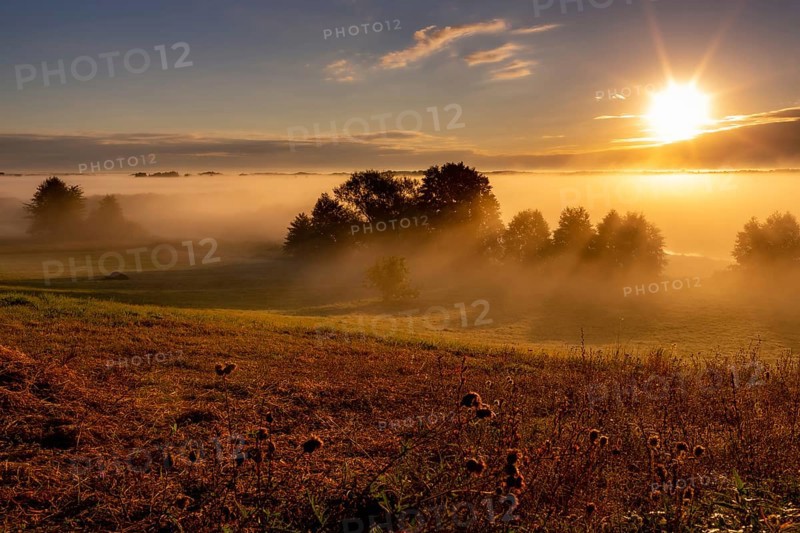 Sunrise on the Biebrza River in the Biebrza National Park. Burzyn, Podlasie, Poland, Europe