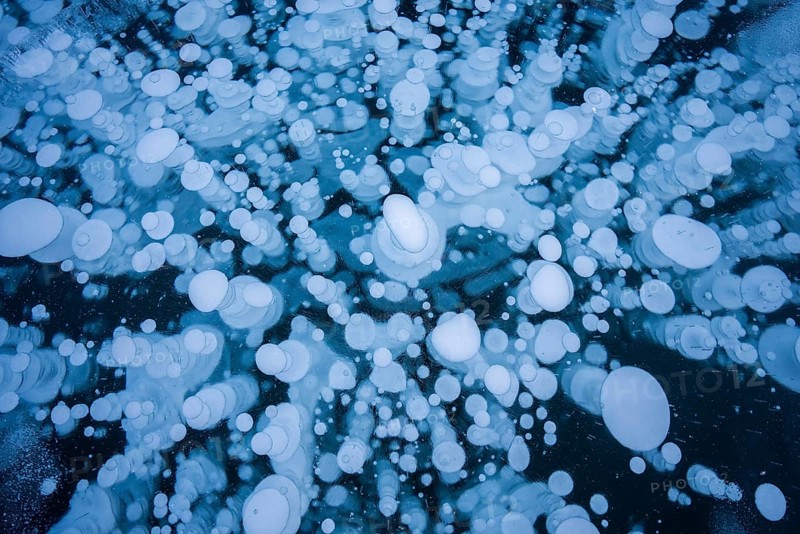 A mesmerizing view of numerous frozen bubbles captured in a thick layer of ice on a lake, creating a unique and abstract natural pattern, Canadian Rockies