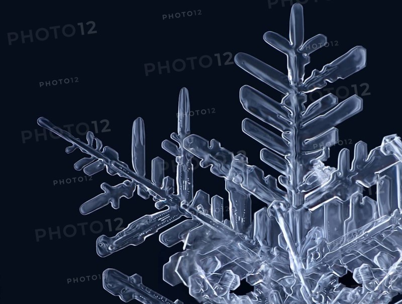 Detail of a real snowflake against a black background