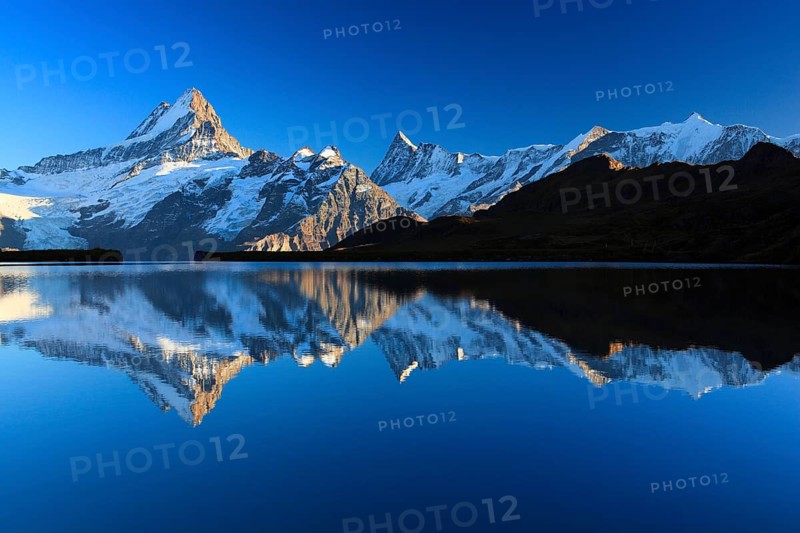 Bachalpsee, Schreckhorn, 4078 m, Finsteraarhorn, 4274 m, Bernese Oberland, Switzerland, Europe