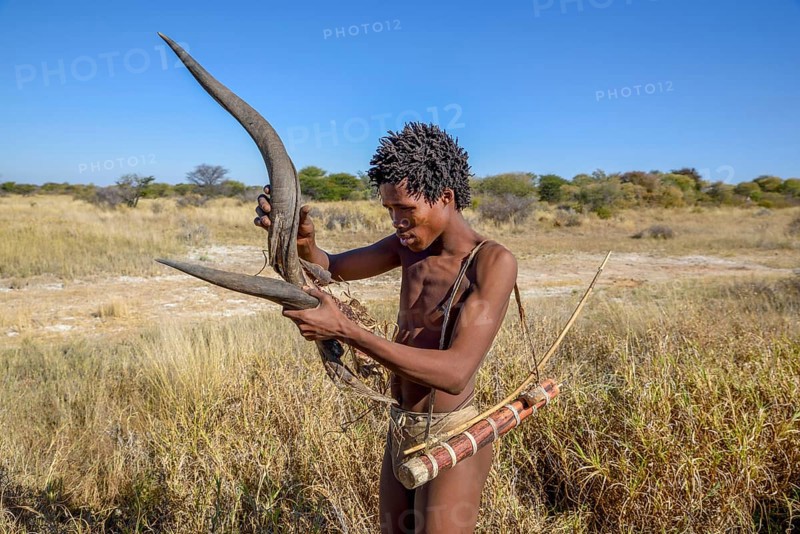 Bushman of the Ju/? Hoansi-San in a traditional hunt with bow and arrow, inspects the horn of a Kudu, village //Xa/oba, near Tsumkwe, Otjozondjupa region, Namibia, Africa