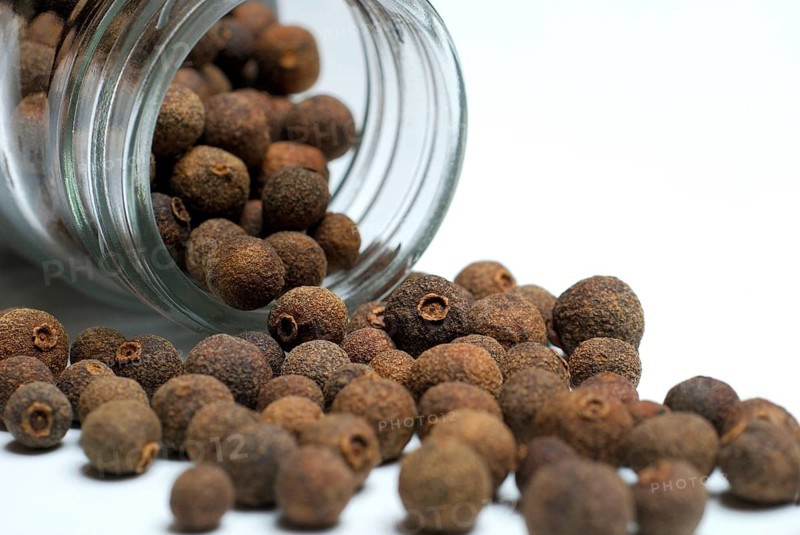 Allspice (Pimenta dioica officinalis) clove pepper, Jamaica pepper, new spice, four spice, koerner