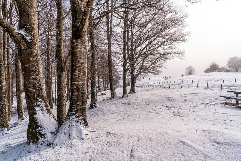 Snowy sunrise next to trees in the picnic area next to the refuge of Mount Aizkorri in Gipuzkoa. Snowy landscape by winter snows. Basque Country, Spain, Europe