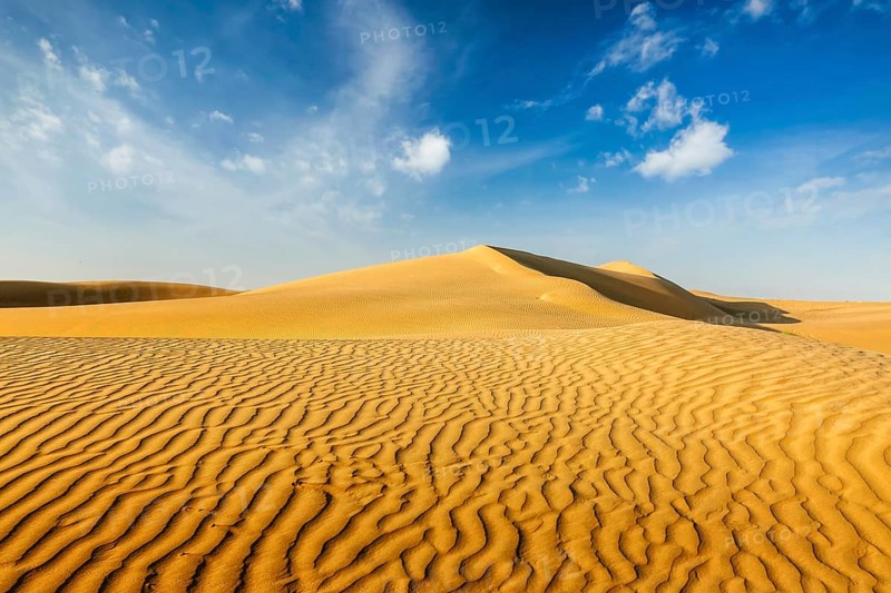 Dunes of Thar Desert. Sam Sand dunes, Rajasthan, India, Asia