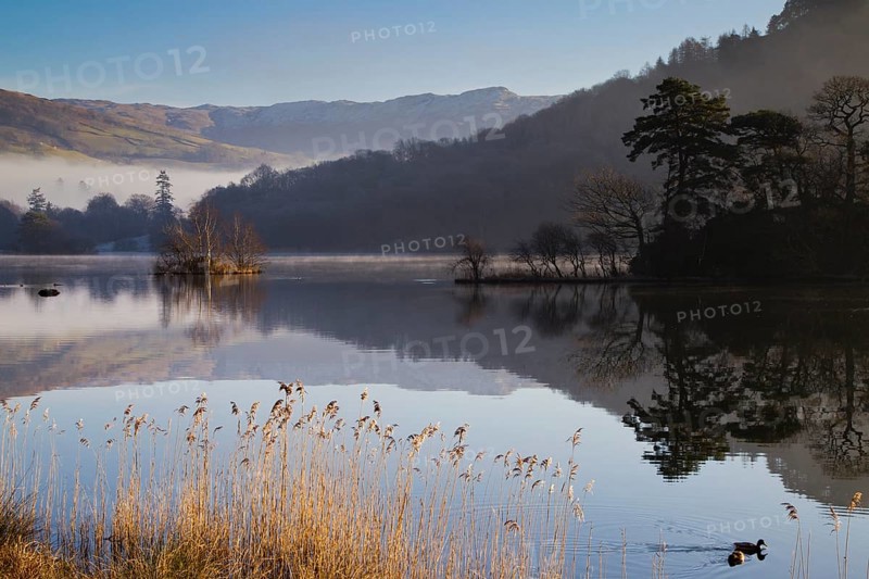 Rydal water after dawn with mist in the valley, Lake District, Cumbria, England, United Kingdom, Europe