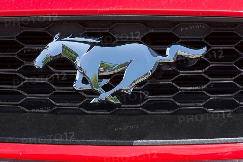 Logo of Ford Mustang, car manufacturer Ford USA, Bavaria, Germany, Europe