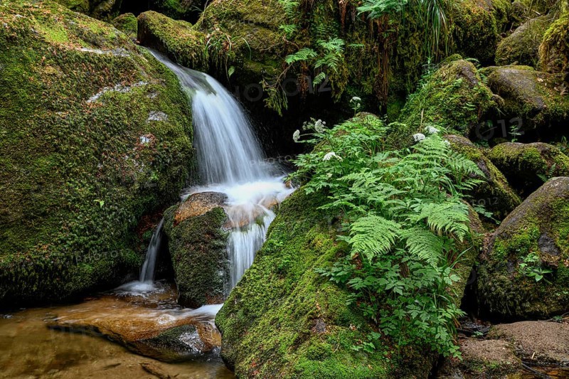 Gertelbach Waterfalls, Gertelbach Gorge, Bühlertal, Rastatt, Black Forest, Baden-Württemberg, Germany, Europe
