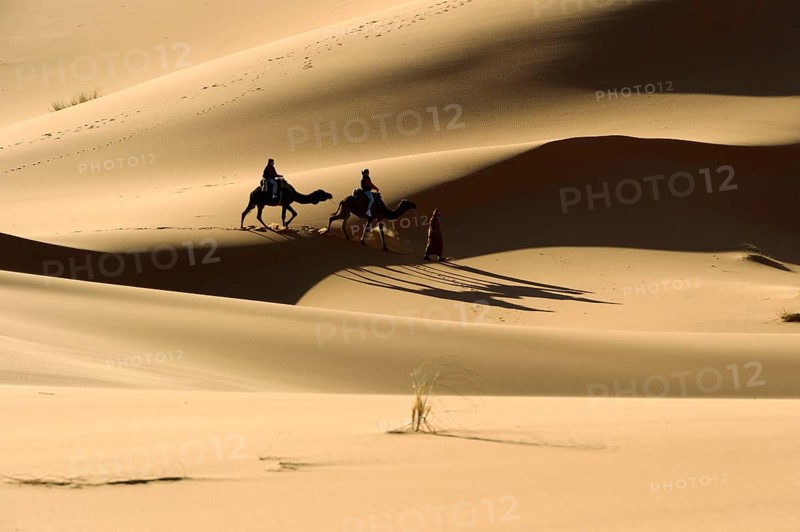 Morocco, camel driver, Berber, Erg Chebbi desert, dunes, Africa
