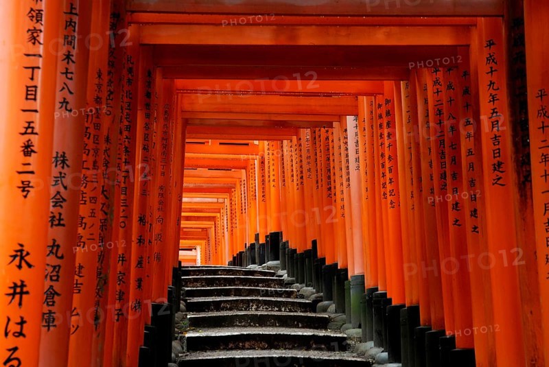 Red Gates, Torii Gates, Avenue of Torii, Taisha, Kyoto, Tori, Fushimi Inari Shrine, Kyoto, Japan, Asia