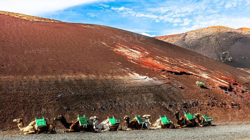2016, Timanfaya National Park, Lanzarote, Fire Mountains of Timanfaya National Park, Montanas del Fuego, ESP, Spain, Canary Islands, Canary Islands, Atlantic Ocean, Lanzarote, biosphere reserve, volcano, volcanism, volcanic island, lava fields, island, camels, dromedary, camello, date taken, Europe