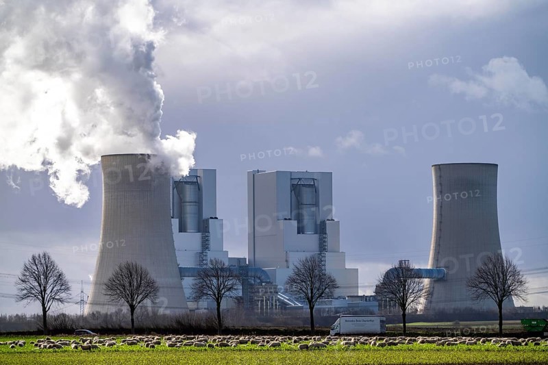RWE Power lignite-fired power plant Neurath, near Grevenbroich, power plant units F and G, cooling towers, country road, sheep on a pasture in front of the lignite-fired power plant, North Rhine-Westphalia, Germany, Europe