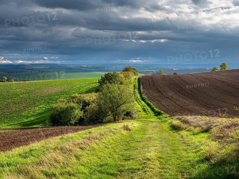 Field path through field landscape in the evening light, battlefield of 1806, Battle of Jena and Auerstedt, Thuringia, Germany, Europe