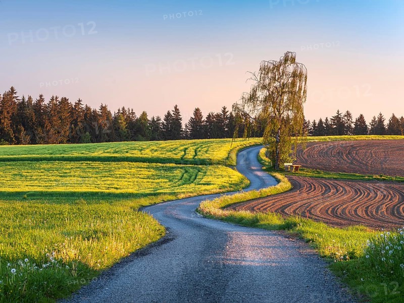 Field path winds through typical field landscape in spring in the morning light under blue sky, green meadow and ploughed field, Waldsassen, Upper Palatinate, Bavaria, Germany, Europe