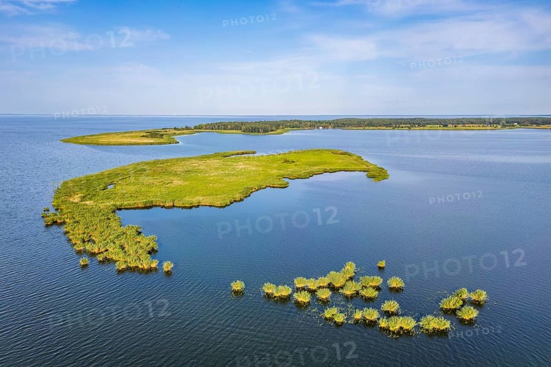 Aerial view, drone photo: Lysa Wyspa island covered with reeds, Kahleberg, Nowe Warpno, Szczecin Lagoon, Poland, Europe