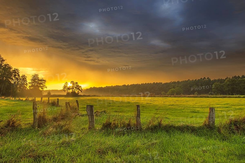 View of a wooden fence over green meadows at the edge of a forest with an intense sunset, Neustadt am Rübenberge, Hanover Region, Lower Saxony, Germany, Europe