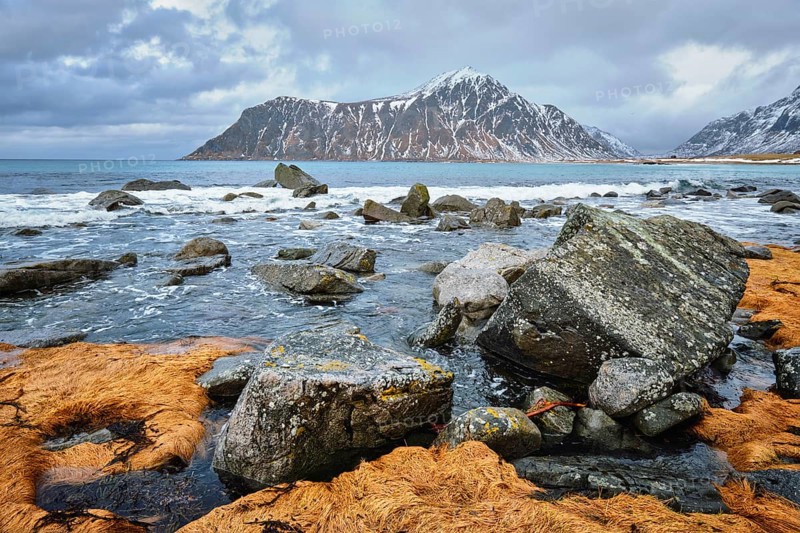 Rocky coast of fjord of Norwegian sea in winter with snow. Skagsanden beach, Lofoten islands, Norway, Europe