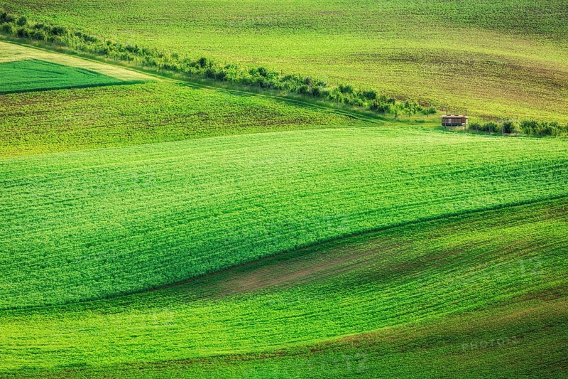 Rolling landscape of green fields in South Moravia, Czech Republic, Europe
