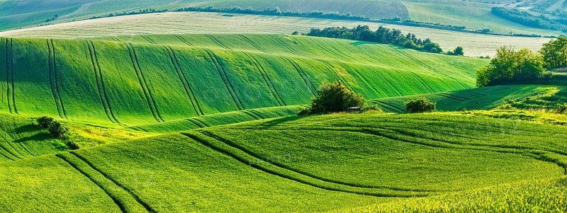 European rural wallpaper, panorama of Moravian rolling fields landscape, Moravia, Czech Republic, Europe