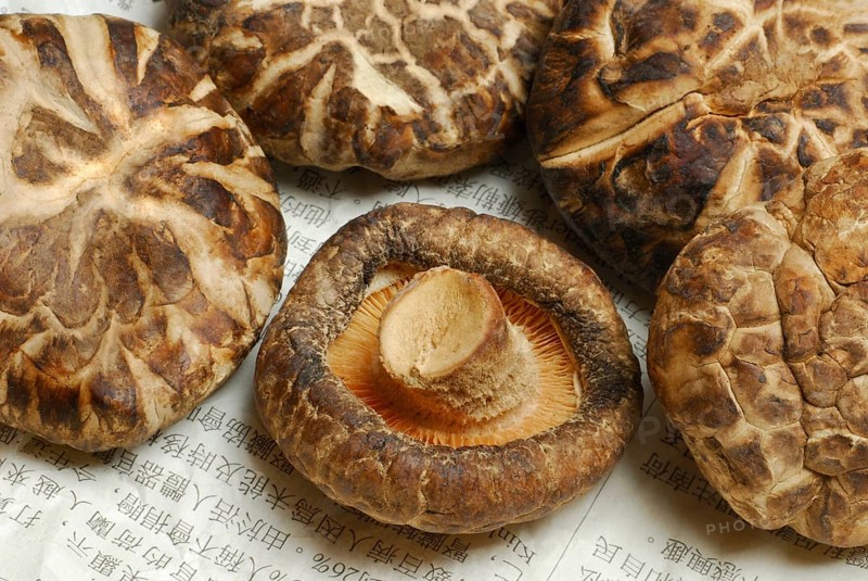 Shitake mushrooms, dried, on Chinese newspaper, Shiitake (Lentinus edodes) Shitake, medicinal mushrooms