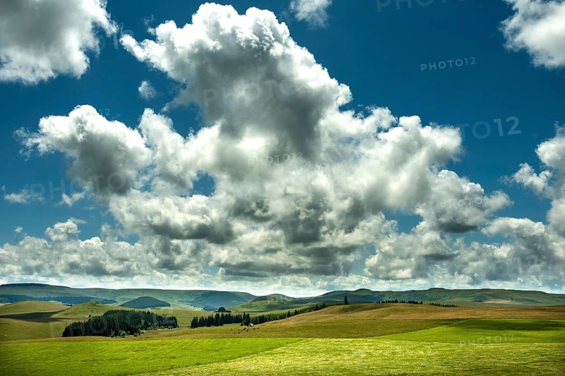Cezallier plateau in the Auvergne volcanoes regional natural park, Puy de Dome department, Auvergne-Rhone-Alpes, France, Europe