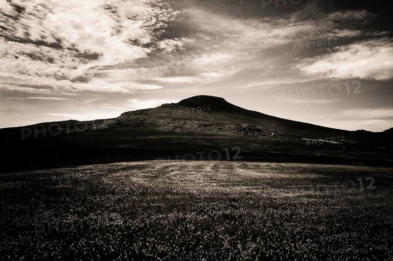 Monts Dore, Sancy mountain. Auvergne volcanoes natural park. Puy-de-Dome department. Auvergne-Rhone-Alpes. France