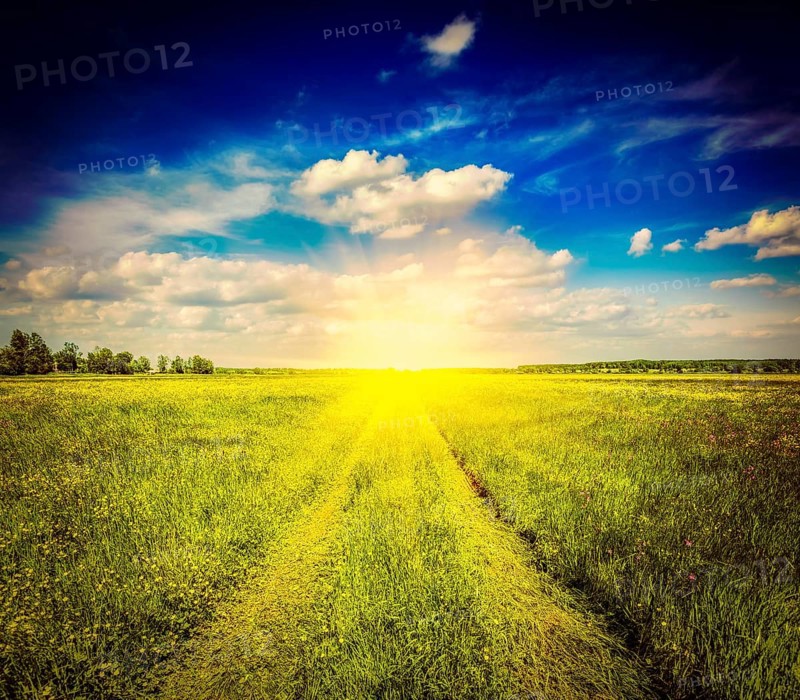 Vintage retro effect filtered hipster style image of spring summer background, rural road in green grass field meadow scenery landscape with blue sky