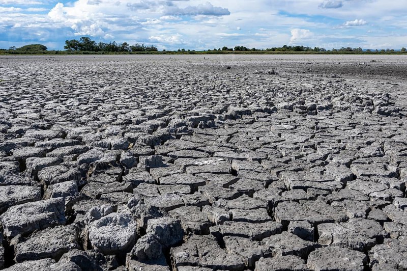 Heavily dried-up Zicksee, Lake Neusiedl-Seewinkel National Park, Burgenland, Austria, Europe