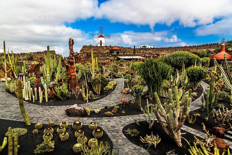 2016, Guatiza, Lanzarote, Jardin de Cactus by Cesar Manrique, ESP, Spain, Canary Islands, Canary Islands, Atlantic Ocean, Lanzarote, biosphere reserve, volcano, volcanism, volcanic island, island, recording date, Europe