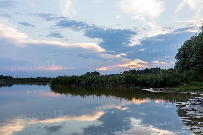 Lake Varchentin, evening mood on the shore, Mecklenburg Lake District, Mecklenburg-Western Pomerania, Germany, Europe