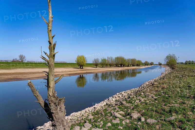 The Gierthausen oxbow lake near Schenkenschanz, Kleve, on the Lower Rhine, North Rhine-Westphalia, Germany, Europe