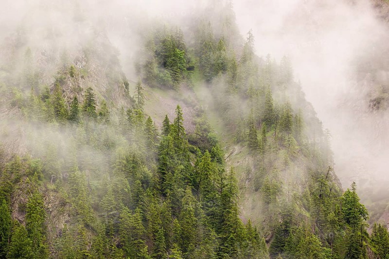 Wisps of mist cover the Karwendel mountains in the Großer Ahornboden nature reserve, Eng Valley, Tyrol, Austria, Europe