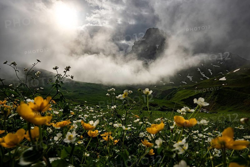 Peaks in the morning light and alpine landscape with dramatic clouds, Lech, Lechquellengebirge, Vorarlberg, Austria, Europe