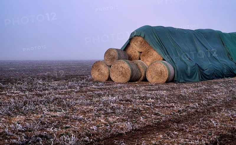 Hay bales, round bales, hay, covered, on field, hoar frost, hoarfrost, winter, wintry, Stuttgart, Baden-Württemberg, Germany, Europe