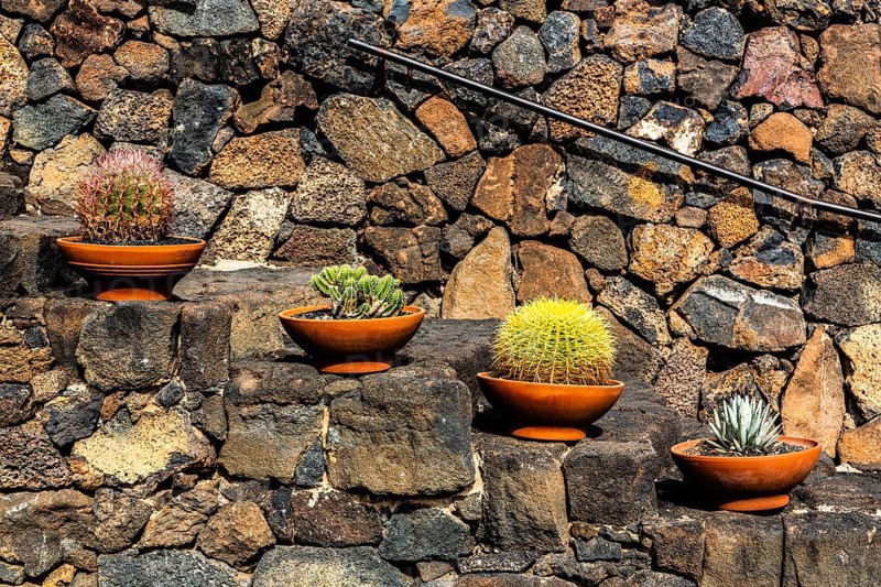 2016, Guatiza, Lanzarote, Jardin de Cactus by Cesar Manrique, ESP, Spain, Canary Islands, Canary Islands, Atlantic Ocean, Lanzarote, biosphere reserve, volcano, volcanism, volcanic island, island, recording date, Europe