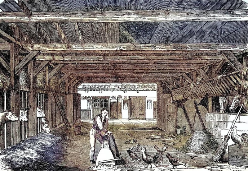 Cowshed and horse stable in a farmhouse in Lower Saxony, Deutschland, 1880 / Kuhstall und Pferdestall in einem Bauernhaus in Niedersachsen, 1880, Historisch, historical, digital improved reproduction of an original from the 19th century / digital reproduction of an original from the 19th century