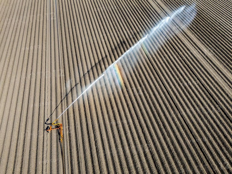 Artificial irrigation of a potato field in April, with a sprinkler system, long drought in spring makes this necessary, for the total of 7.5 hectares 3 full days are needed to get the necessary moisture for the freshly sown potato plants, south of Straelen, Lower Rhine, North Rhine-Westphalia, Germany, Europe