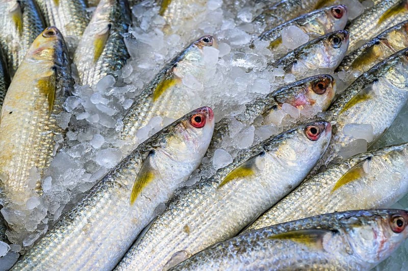 Red Sea Fish, Fish Market in Hurghada, Egypt, Africa