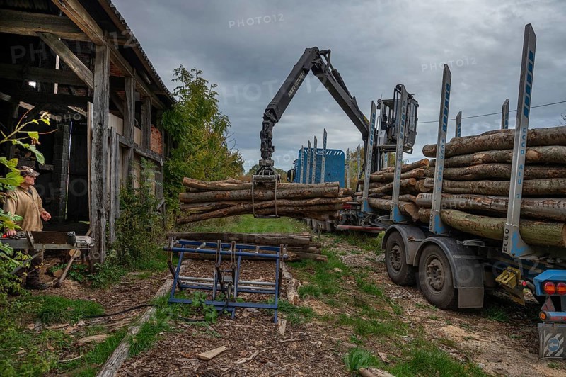 Unloading logs from a log transporter, Othenstorf Estate, Mecklenburg-Western Pomerania, Germany, Europe