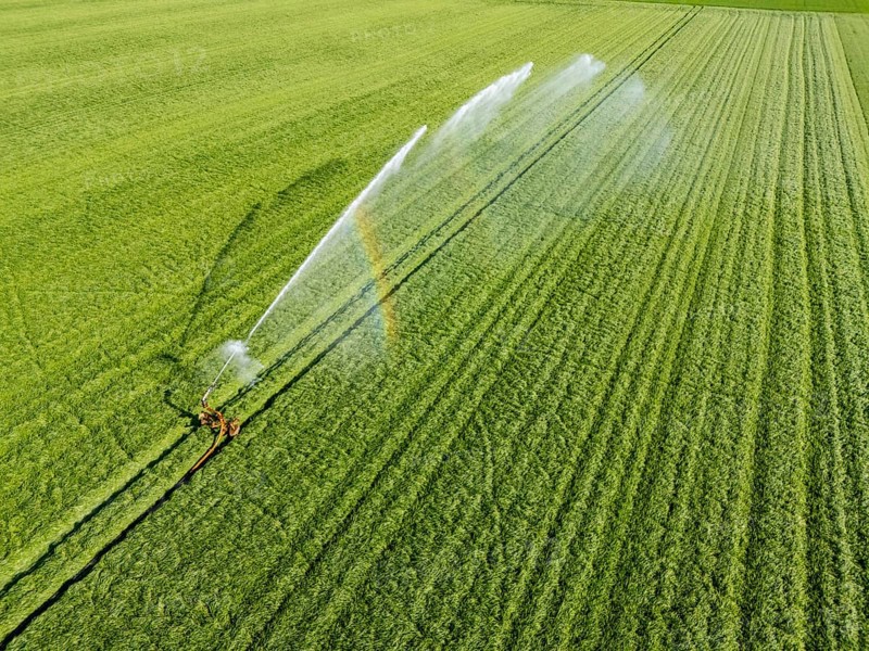 Artificial irrigation of a cereal field in April, with a sprinkler system, long dry spell in spring makes this necessary for the young plants to grow well, Kerken, Lower Rhine, North Rhine-Westphalia, Germany, Europe