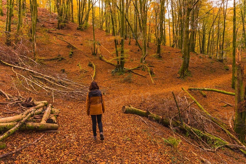 Lifestyle, a young brunette in a yellow jacket walking along the forest path in autumn. Artikutza Forest in San Sebastián, Gipuzkoa, Basque Country. Spain