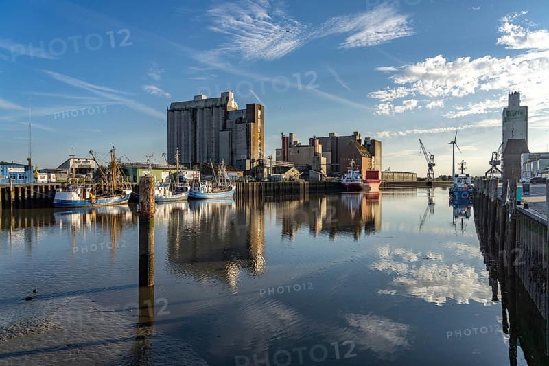 Cutter in the harbour in Husum, Nordfriesland district, Schleswig-Holstein, Germany, Europe