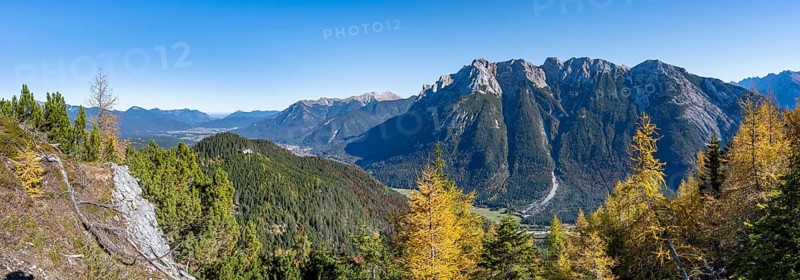 Autumnal mountain forest, yellow-coloured larches, ascent to the Große Arnspitze, view of mountain peaks of the Karwendel, near Scharnitz, Bavaria, Germany, Europe