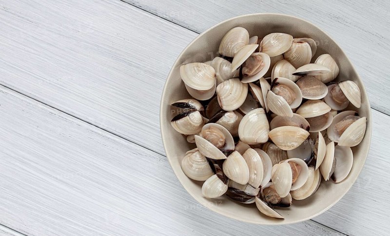 Freshly frozen vongole clams, on a light plate, top view, no people