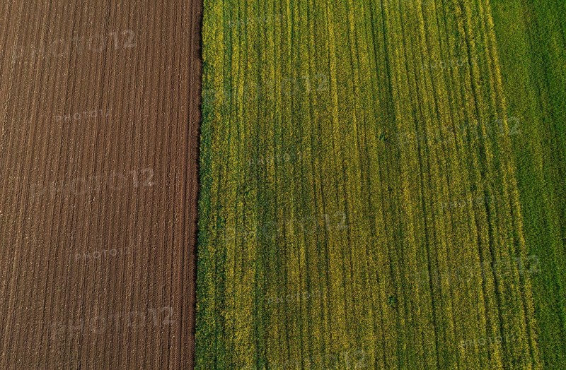 Drone view, green and ploughed fields, agricultural landscape, Innviertel, Upper Austria, Austria, Europe