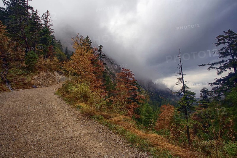 Gravel path in an autumnal forest under a cloudy sky by the mountains. Hike to the Herzogstand, Kochel am See, Bavaria, Germany, Europe