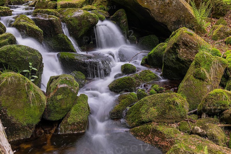 Kleine Ohe creek below Waldhaeuser village in the Bavarian Forest Nationalpark. Flowing water, little cascades, mossy stones and fresh green vegetation