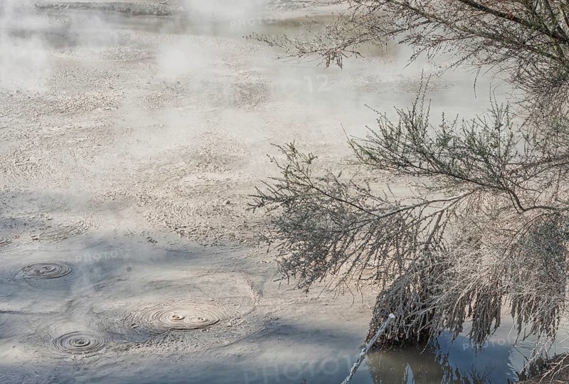 Hot bubbling mud pool, Waiotapu Thermal Park, Waiotapu, Rotorua, Bay of Plenty, North Island, New Zealand, Oceania